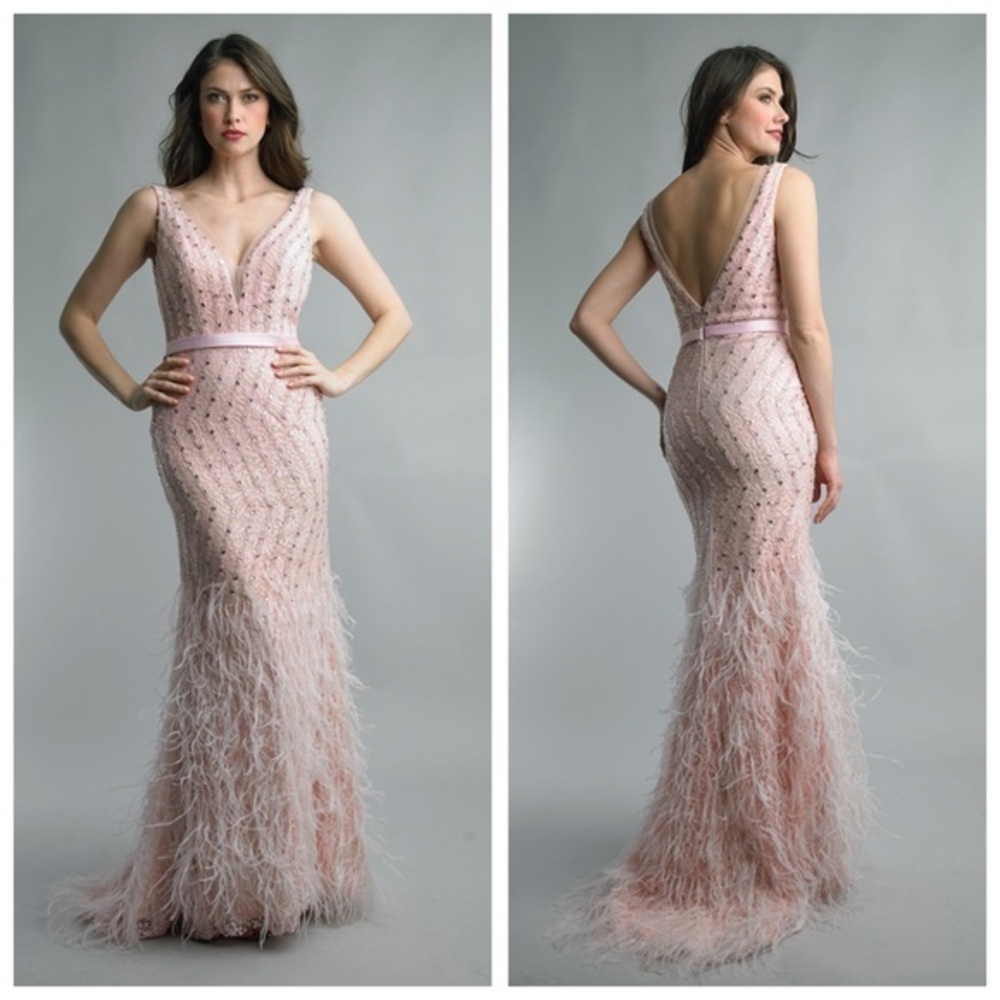 BASIX BLACK LABEL D1472L FEATHER EMBELLISHED PLUNGE V NECK GOWN Size 10